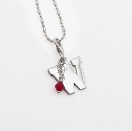 Sterling Silver 'W' School Charm picture