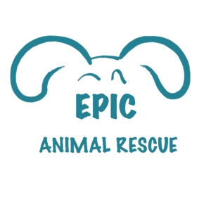 Epic Animal Rescue