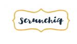 Scrunchiq