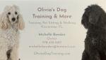 Olivia's Dog Training & More LLC