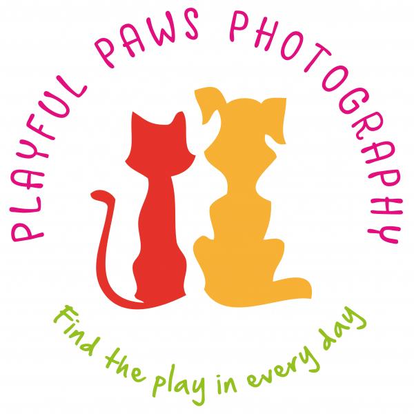 Playful Paws Photography