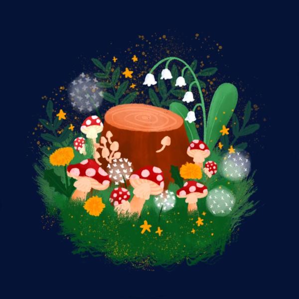 Fairy Ring Art