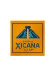 Nostalgia Xicana Mexican Folk Art