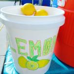 DarnGood Lemonade