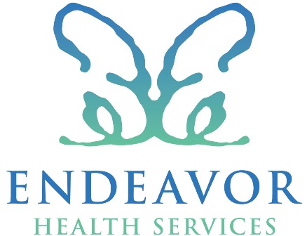 Endeavor Health Services