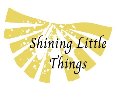 Shining Little Things