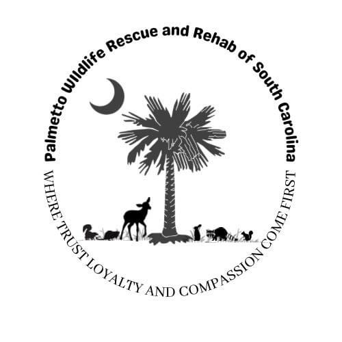 Palmetto Wildlife Rescue and Rehab