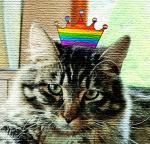 Proud Cat Creations