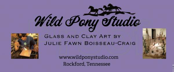 Wild Pony Studio