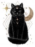 Black Cat Crystal Co.