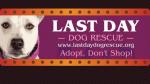 Last Day Dog Rescue, Inc
