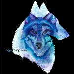 NightWolf Creations