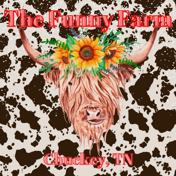 The Funny Farm Chuckey Tennessee United States Tammy Eventeny