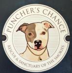 Punchers Chance Rescue And Sanctuary Of The Smokies