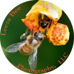 Leeza Bee Photography