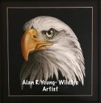Alan R. Young - Wildlife Artist