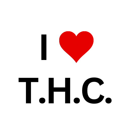 True Hoodies Collection