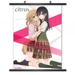 CWS Media Group Citirus 01 Wall Scroll 810002880049