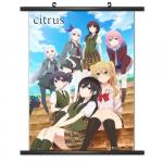 CWS Media Group Citirus 02 Wall Scroll 810002880056