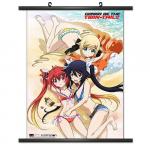 CWS Media Group Gonna be the Twin Tail 008 Wall Scroll 813860023313
