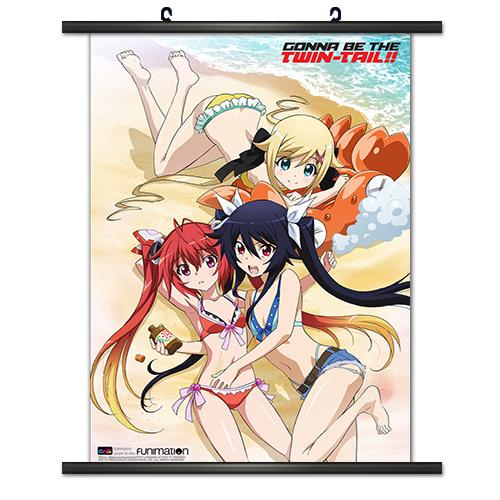 CWS Media Group Gonna be the Twin Tail 008 Wall Scroll 813860023313 picture