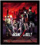 Akame Ga Kill 3D Lenticular Wall Art Poster Framed