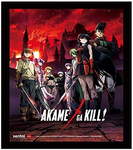 Akame Ga Kill 3D Lenticular Wall Art Poster Framed picture