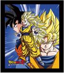 Dragon Ball Z 3D Lenticular Wall Art Poster Framed 9x12