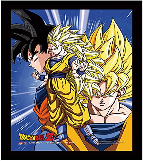 Dragon Ball Z 3D Lenticular Wall Art Poster Framed 9x12 picture