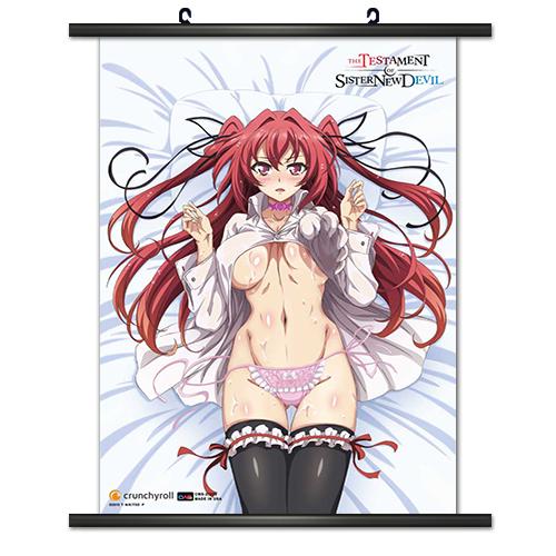 CWS Media Group The Testament of Sister New Devil 001 Wall Scroll 813860027229