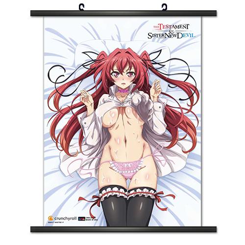 CWS Media Group The Testament of Sister New Devil 001 Wall Scroll 813860027229 picture