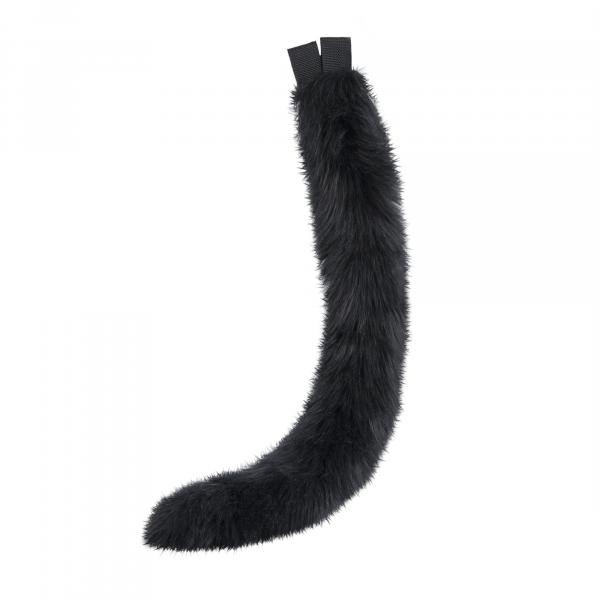 Kitty Tail - 3500 picture