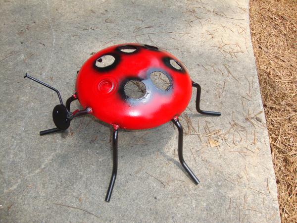 Ladybug picture