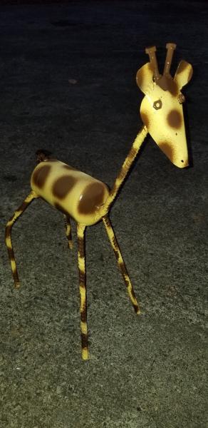 Baby Giraffe picture