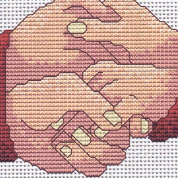 Handfasting Keepsake Cross Stitch Pattern - SIA-998 picture