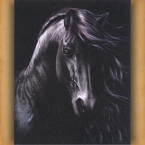 "The Black" Cross Stitch Pattern - SHP-601 picture