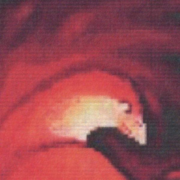 "Phoenix Flame" Cross Stitch Pattern - SIW-862 picture