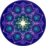 Star Seed Window Sticker - WST-S32