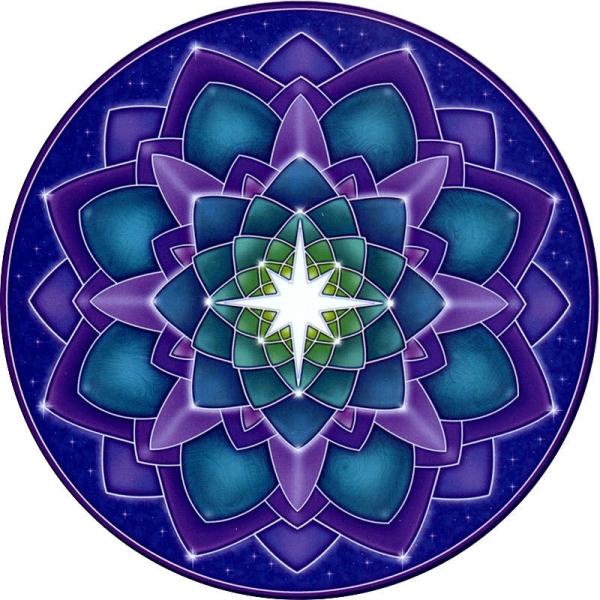 Star Seed Window Sticker - WST-S32