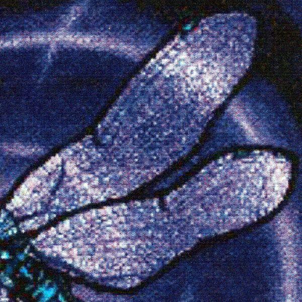 Dragonfly Cross Stitch Pattern - SIW-004 picture