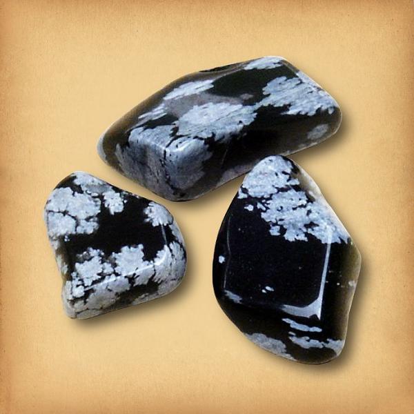 Snowflake Obsidian Tumbled Gemstones - CRY-SNO picture