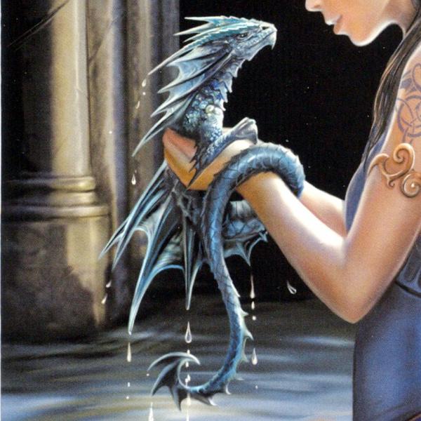 Water Dragon Greeting Card - CRD-AN24 picture