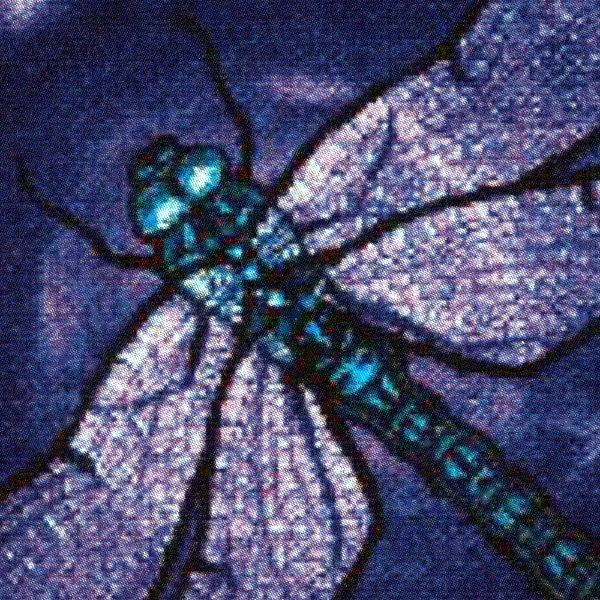 Dragonfly Cross Stitch Pattern - SIW-004 picture