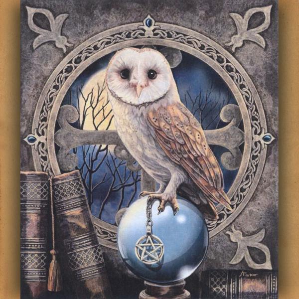 The Spell Keeper Cross Stitch Pattern - SHP-035 picture