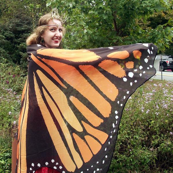 Monarch Butterfly Fairy Wings - WNG-MON picture