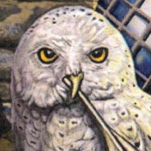 "Literary Owl" Cross Stitch Pattern - SHP-050 picture