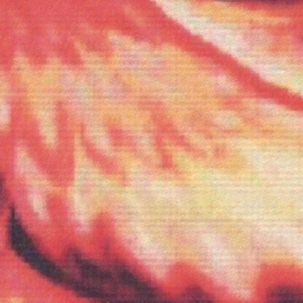 "Phoenix Flame" Cross Stitch Pattern - SIW-862 picture