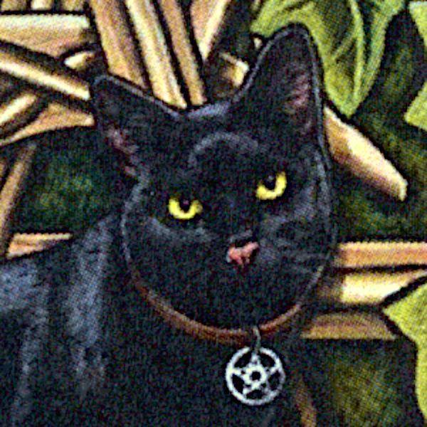 Cat Pentagram Cross Stitch Pattern - SHP-055 picture