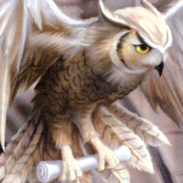 Owl Messenger Greeting Card - CRD-AN60 picture