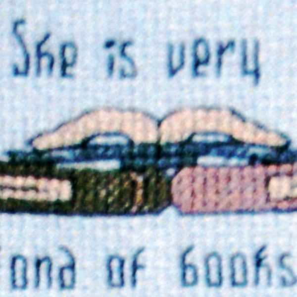 "Addled Her Brain" Cross Stitch Pattern - SIX-293 picture
